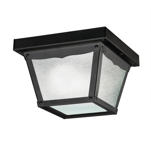 Outdoor Miscellaneous One Light Outdoor Ceiling Mount in Black (12|365BK)