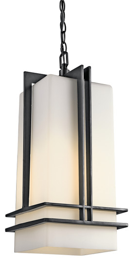 Tremillo One Light Outdoor Pendant in Black (12|49205BK)
