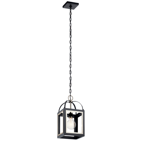 Vath One Light Pendant in Black (12|52030BK)