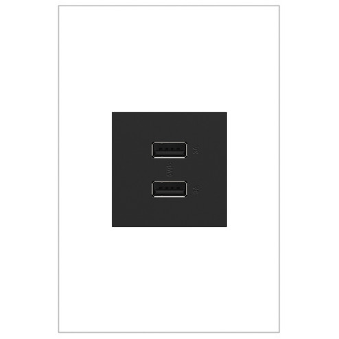 adorne Ultra-Fast USB Type-A/A Outlet Module in Graphite (246|ARUSB2AA6G4)