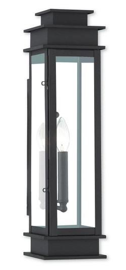 Princeton One Light Outdoor Wall Lantern in Bronze w/ Polished Chrome Stainless Steel (107|20207-07)