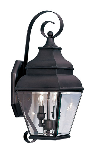 Exeter Two Light Outdoor Wall Lantern in Bronze (107|2591-07)