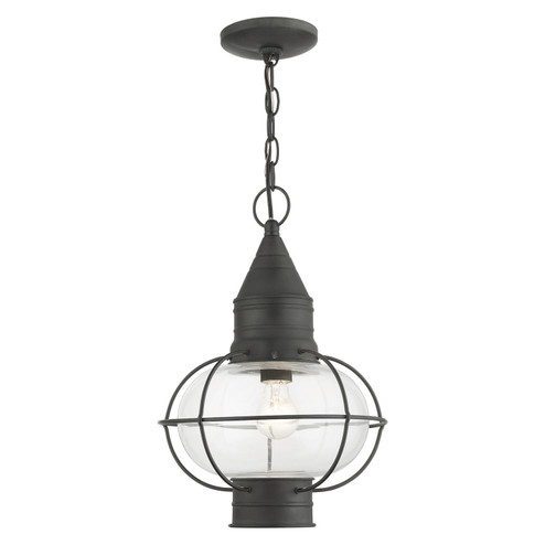 Newburyport One Light Outdoor Pendant in Charcoal (107|26906-61)