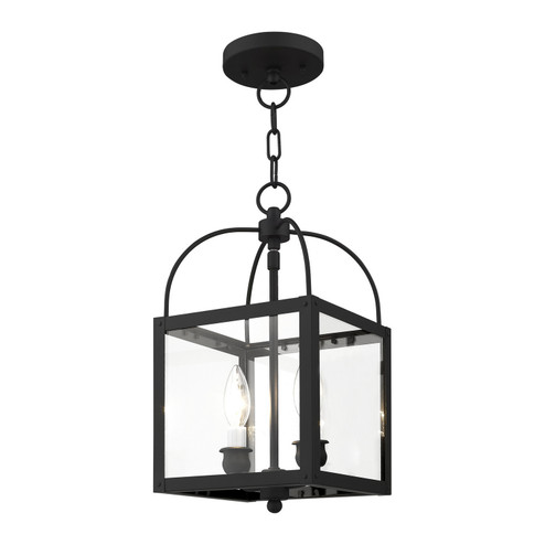 Milford Two Light Mini Pendant/Ceiling Mount in Black (107|4041-04)