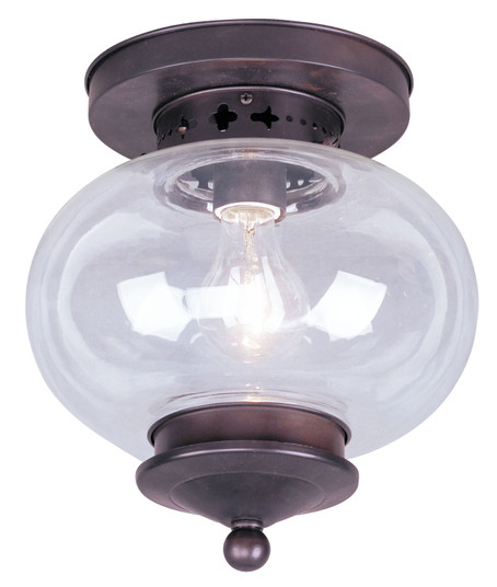 Harbor One Light Ceiling Mount in Bronze (107|5032-07)