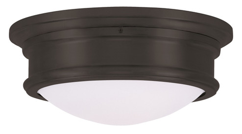 Astor Two Light Ceiling Mount in Bronze (107|7342-07)