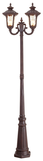 Oxford Two Light Outdoor Post Mount in Hand Applied Imperial Bronze (107|7660-58)
