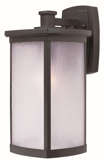 Terrace One Light Outdoor Wall Lantern in Bronze (16|3254FSBZ)