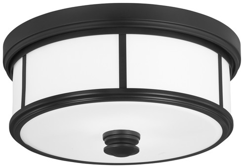 Harbour Point Two Light Ceiling Mount in Coal (7|4365-66A)