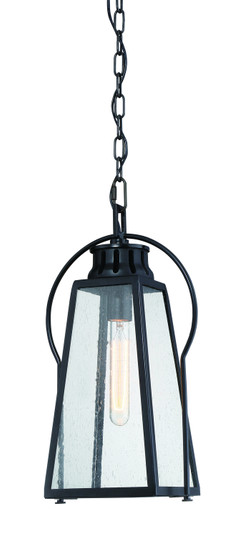 Halder Bridge One Light Outdoor Chain Hung Lantern in Coal (7|72704-66A)