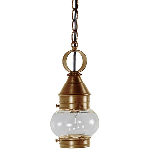 Cageless One Light Hanging Lantern in Antique Brass (196|2012-AB-MED-CLR)