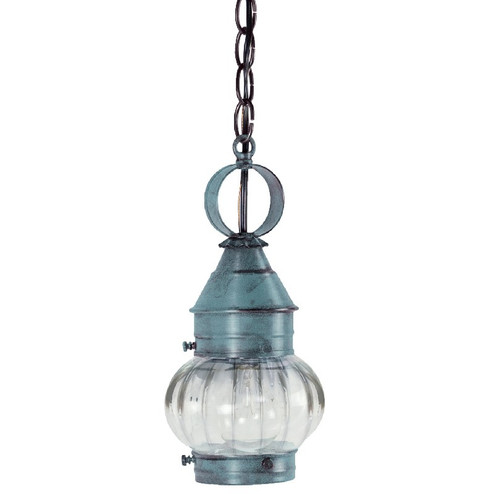 Cageless One Light Hanging Lantern in Verdi Gris (196|2012-VG-MED-OPT)