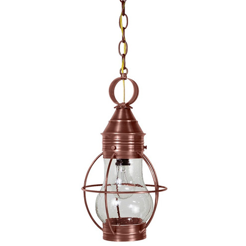 Bosc One Light Hanging Lantern in Antique Copper (196|2722-AC-MED-CSG)