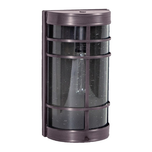 Nautical One Light Wall Lantern in Dark Brass (196|351B-DB-MED-CSG)