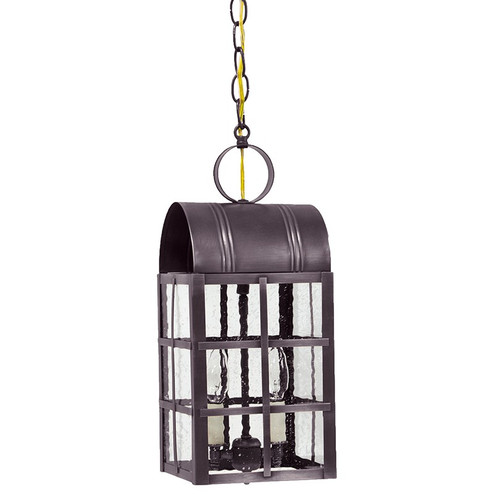 Adams Two Light Hanging Lantern in Dark Brass (196|6142-DB-LT2-SMG)
