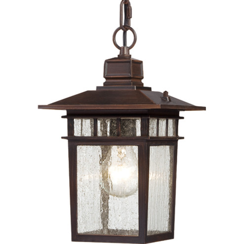 Cove Neck One Light Hanging Lantern in Rustic Bronze (72|60-4955)
