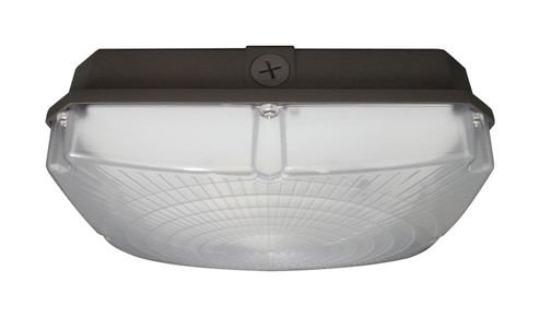 LED Canopy Fixture in Bronze (72|65-147)