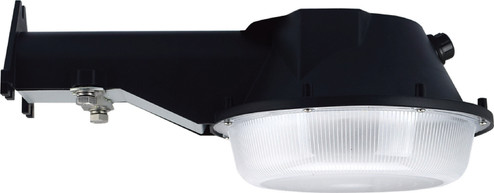 LED Area Light in Black (72|65-245)