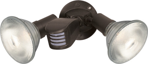 Two Light Floodlight in Bronze (72|SF76-503)
