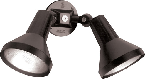 Two Light Floodlight in Black (72|SF77-701)
