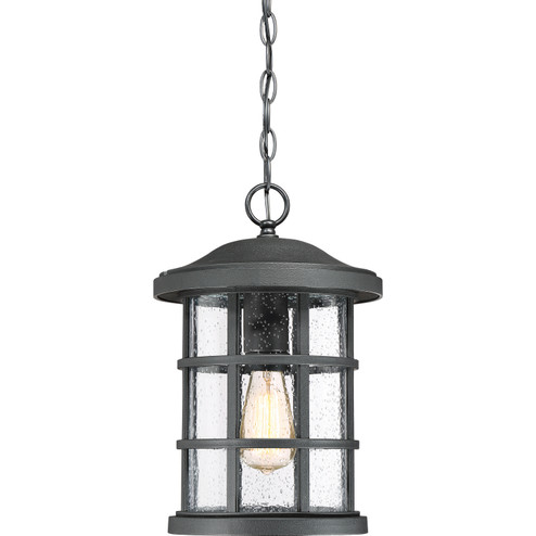 Crusade One Light Outdoor Hanging Lantern in Earth Black (10|CSE1910EK)