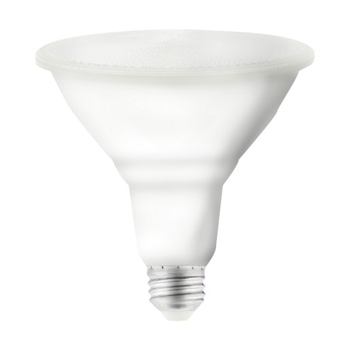 Light Bulb in Clear (230|S11258)