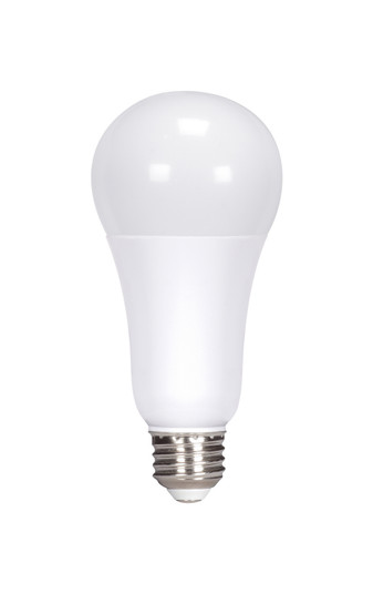 Light Bulb in Frost (230|S11331)