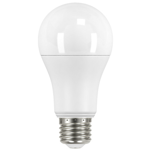 Light Bulb in Frost (230|S11422)