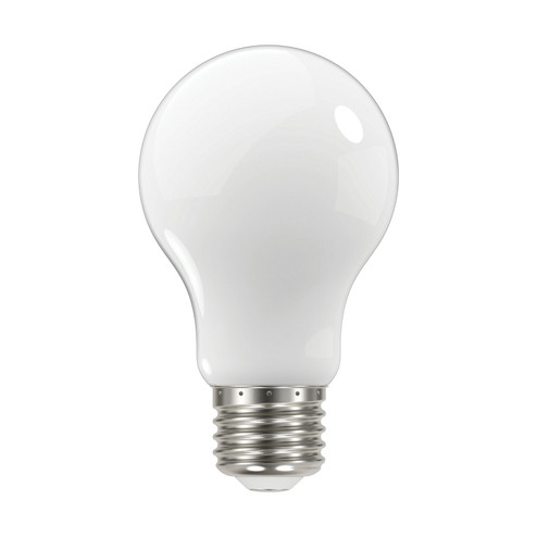 Light Bulb in Soft White (230|S12427)