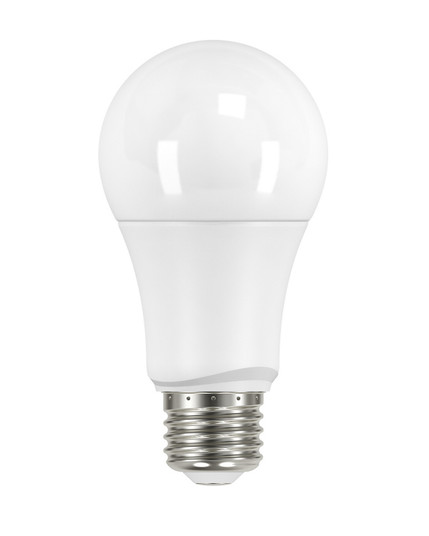 Light Bulb in Frost (230|S29589)