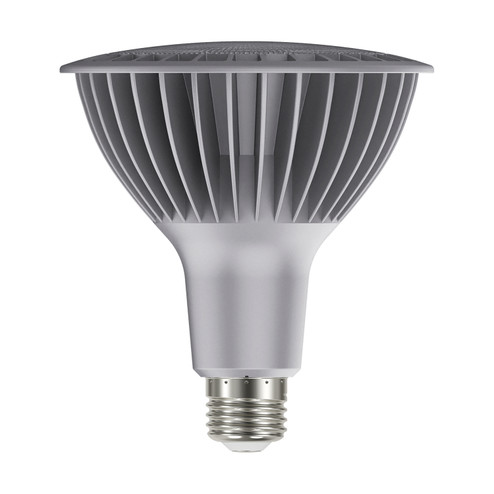 Light Bulb in Silver (230|S29761)