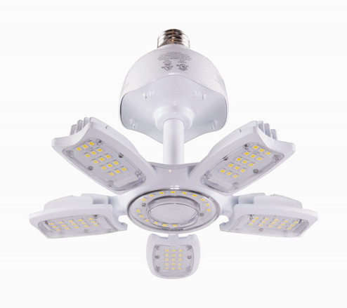 Light Bulb in Clear (230|S39768)