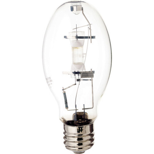 Light Bulb in Clear (230|S4239)