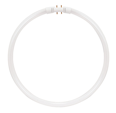Light Bulb in White (230|S8163)