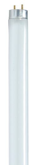 Light Bulb in Gloss White (230|S8418)