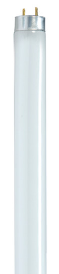 Light Bulb in Gloss White (230|S8422)