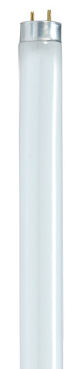 Light Bulb in White (230|S8433)