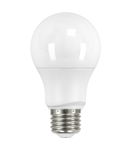 Light Bulb in Frost (230|S9590)