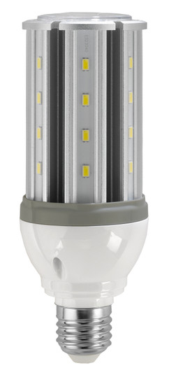 Light Bulb in Clear (230|S9753)