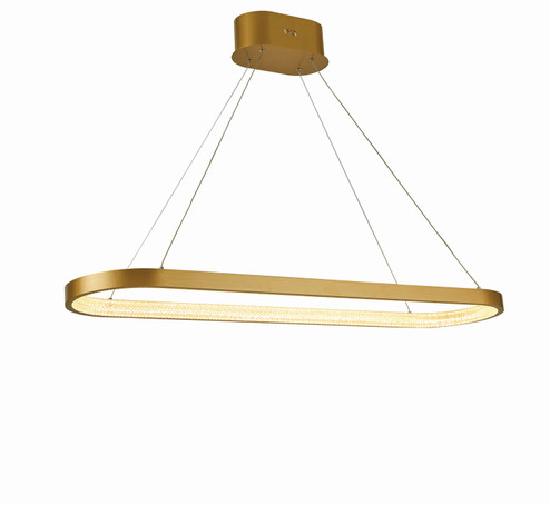 Ellipse LED Chandelier in Brushed Gold (343|T1020-BG)
