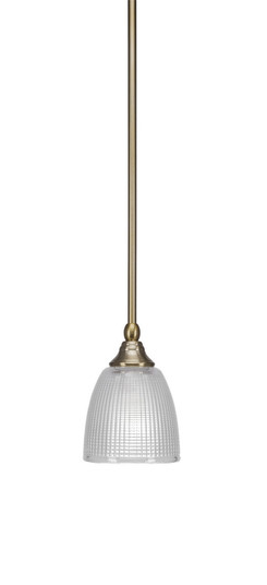 Stem One Light Mini Pendant in New Age Brass (200|23-NAB-500)