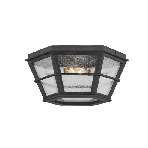 Lake County Two Light Flush Mount in French Iron (67|C2514-FRN)