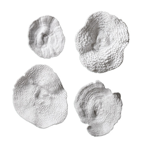 Sea Coral Wall Art in Antique White (52|20170)
