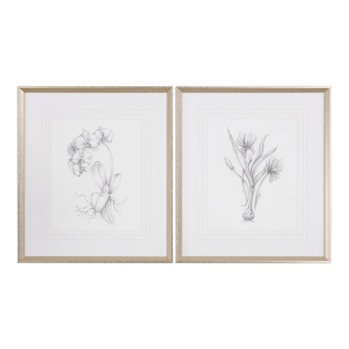 Botanical Sketches Wall Art in Silver Leaf (52|33649)
