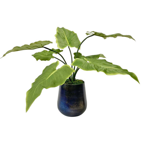 Mari Calla Accent Plant in Oxidized Metal (52|60179)