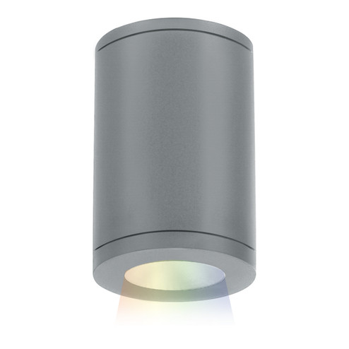 Tube Arch LED Flush Mount in Graphite (34|DS-CD05-N-CC-GH)