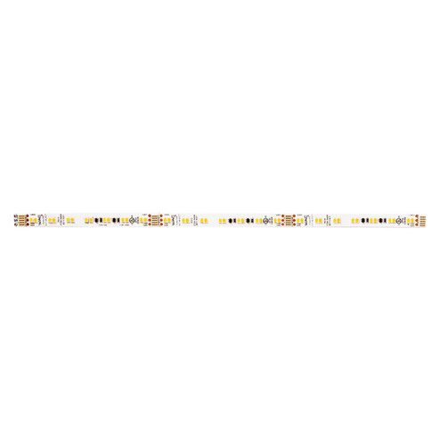 Invisiled Cct LED Tape Light in White (34|T24-CS1-05-2750WT)