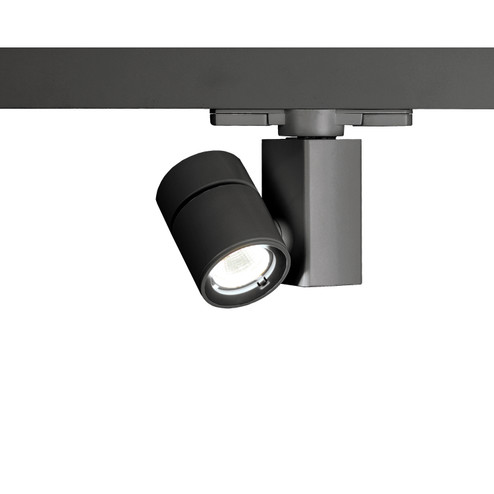 Exterminator Ii- 1014 LED Track Fixture in Black (34|WTK-1014F-835-BK)