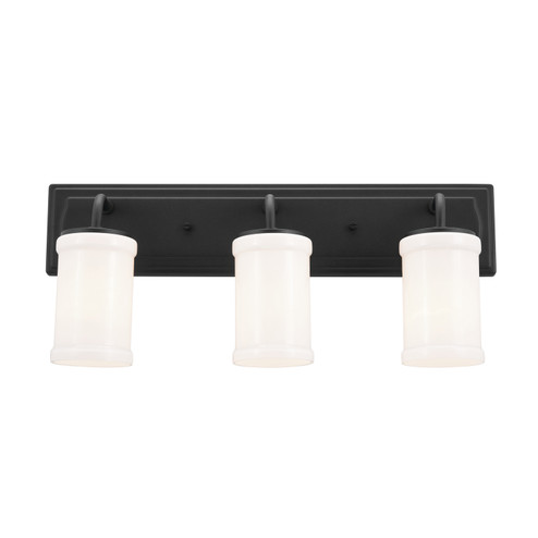 Vetivene Three Light Bath in Textured Black (12|55131BKT)