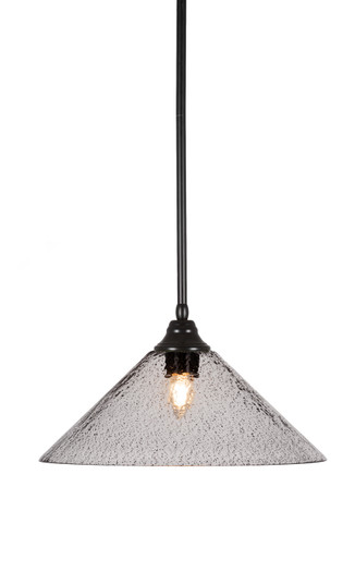 Any One Light Pendant in Matte Black (200|26-MB-2162)